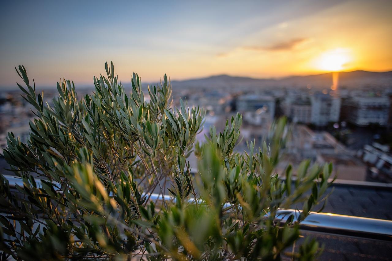 Radisson Blu Park Hotel Athens Luaran gambar Olive trees in Athens